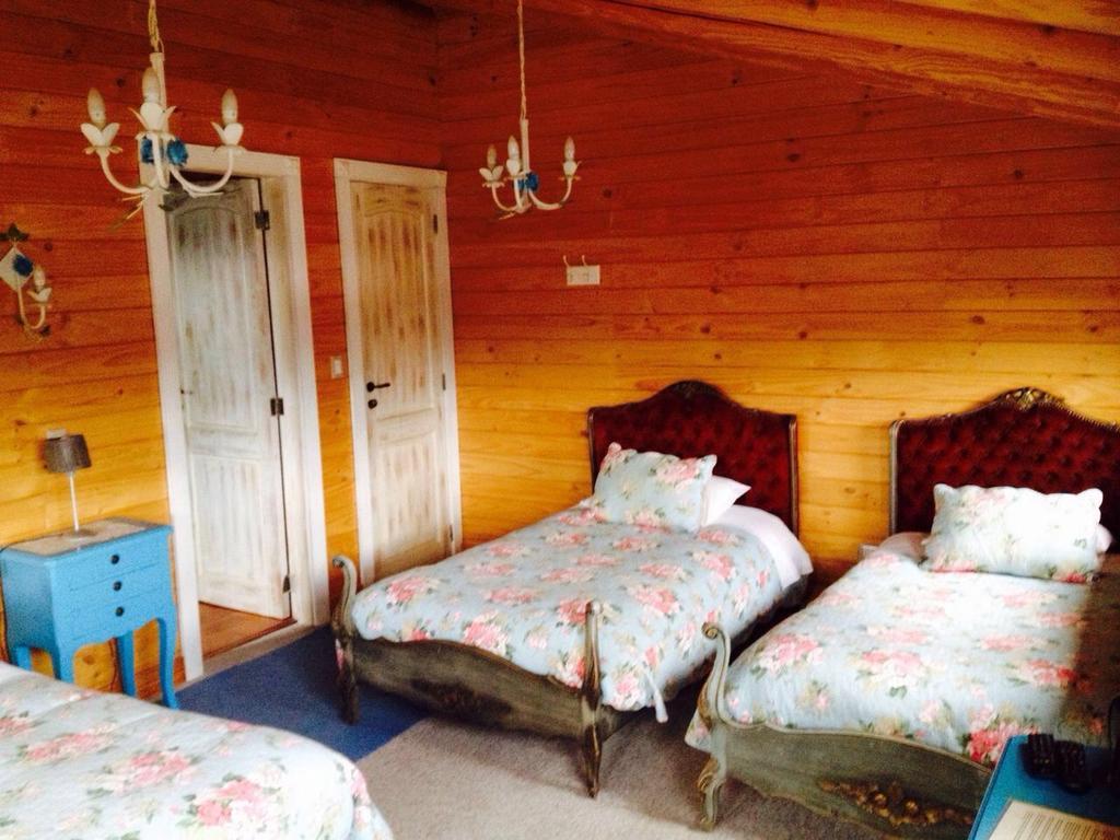 B&B De German Pucon Bagian luar foto