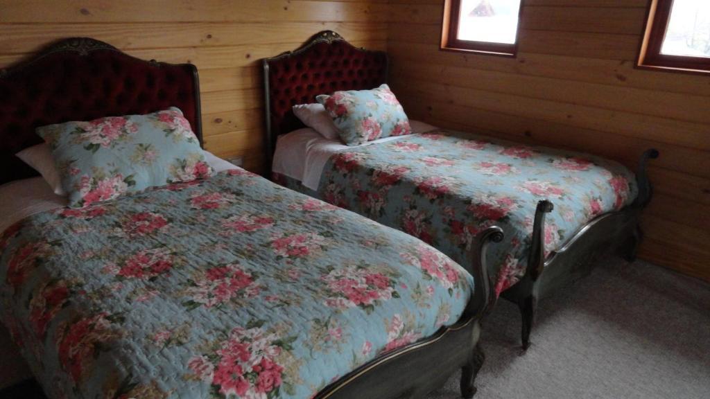 B&B De German Pucon Bagian luar foto