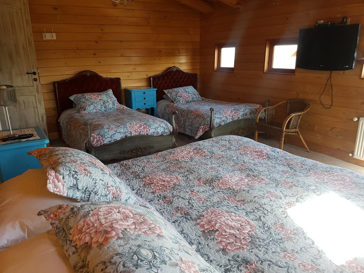 B&B De German Pucon Bagian luar foto
